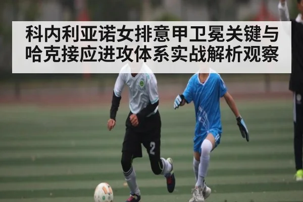 科内利亚诺女排意甲卫冕关键与哈克接应进攻体系实战解析观察